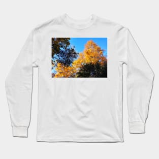 Yellow Gold Autumn Leaves and clear blue sky nature pretty delicate foliage Long Sleeve T-Shirt